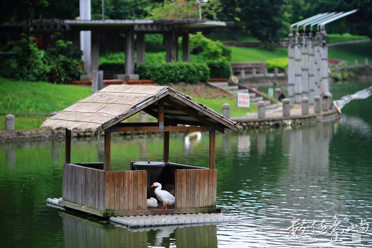 新竹市東區－交通大學竹湖