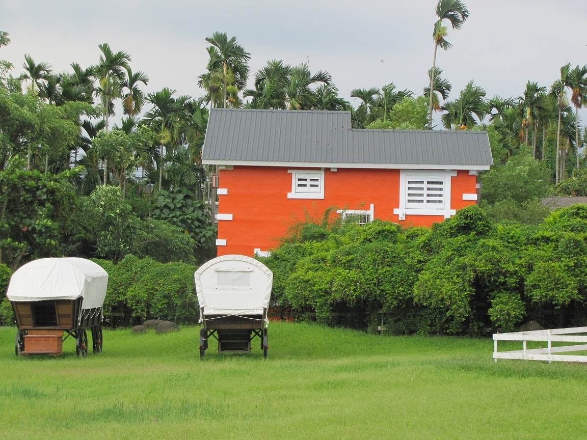 嘉義縣中埔鄉-綠盈牧場