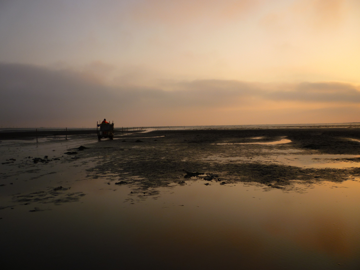 彰化縣芳苑鄉──王功海邊