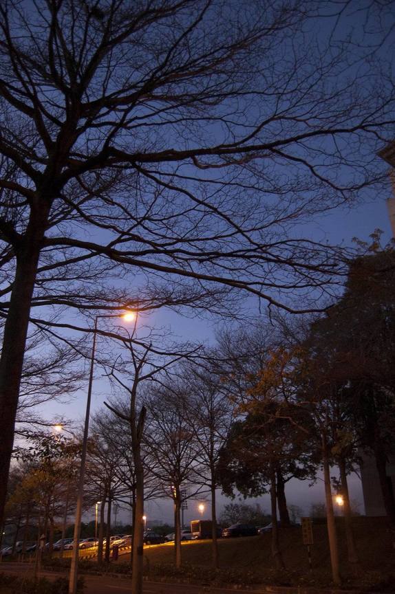 嘉義縣民雄鄉-中正大學晚霞