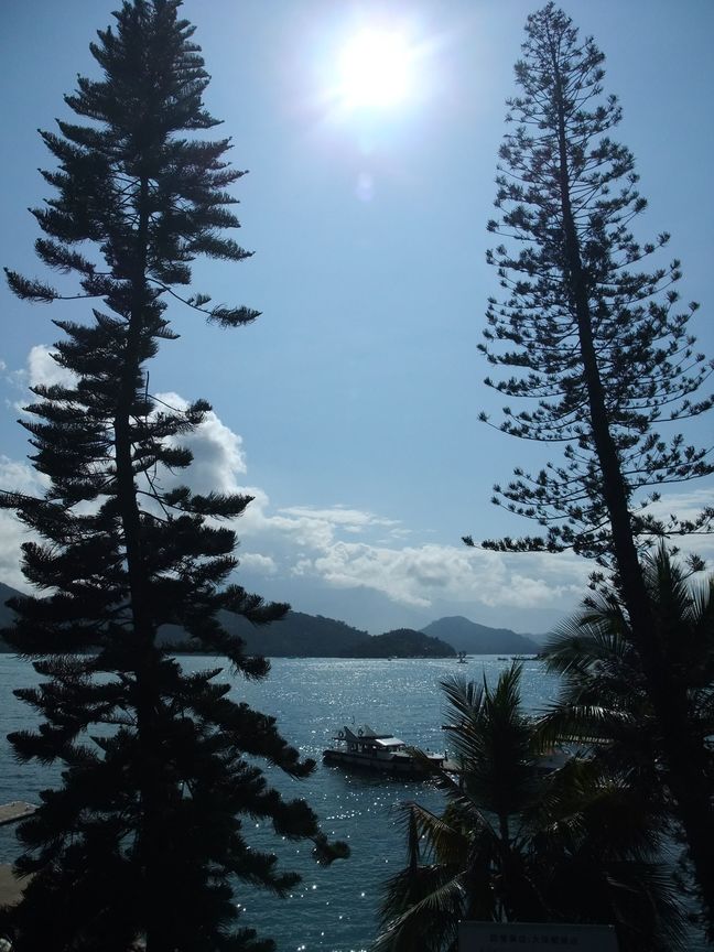 陽光下的湖畔靜謐