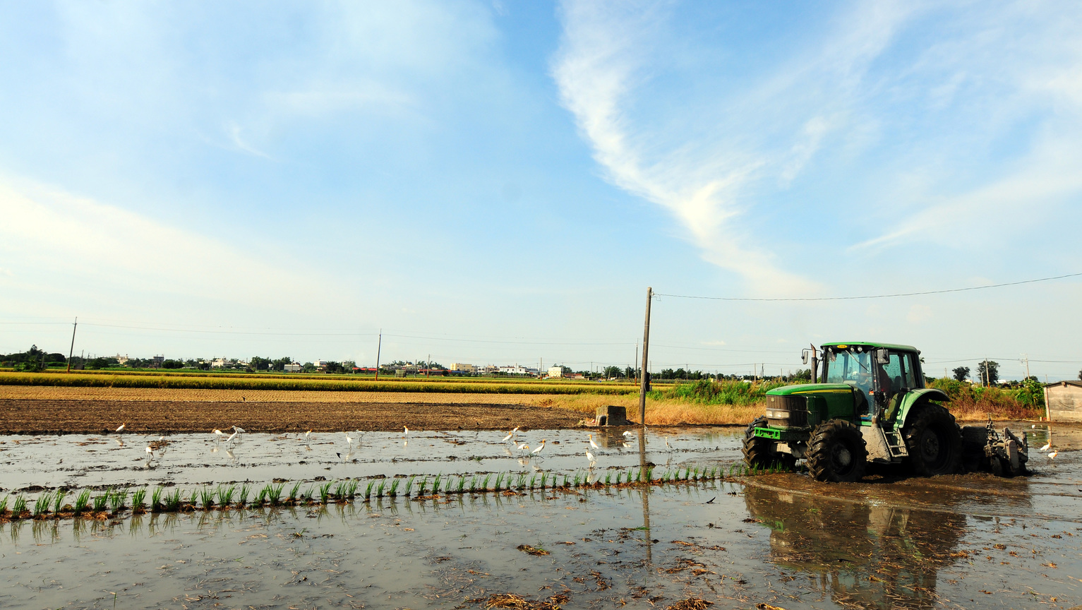 彰化縣二林鎮─農景