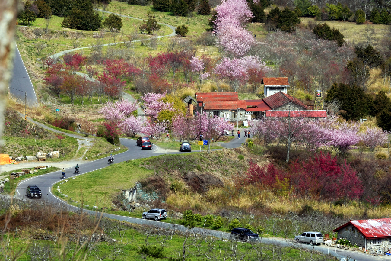 台中市和平區-武陵春色