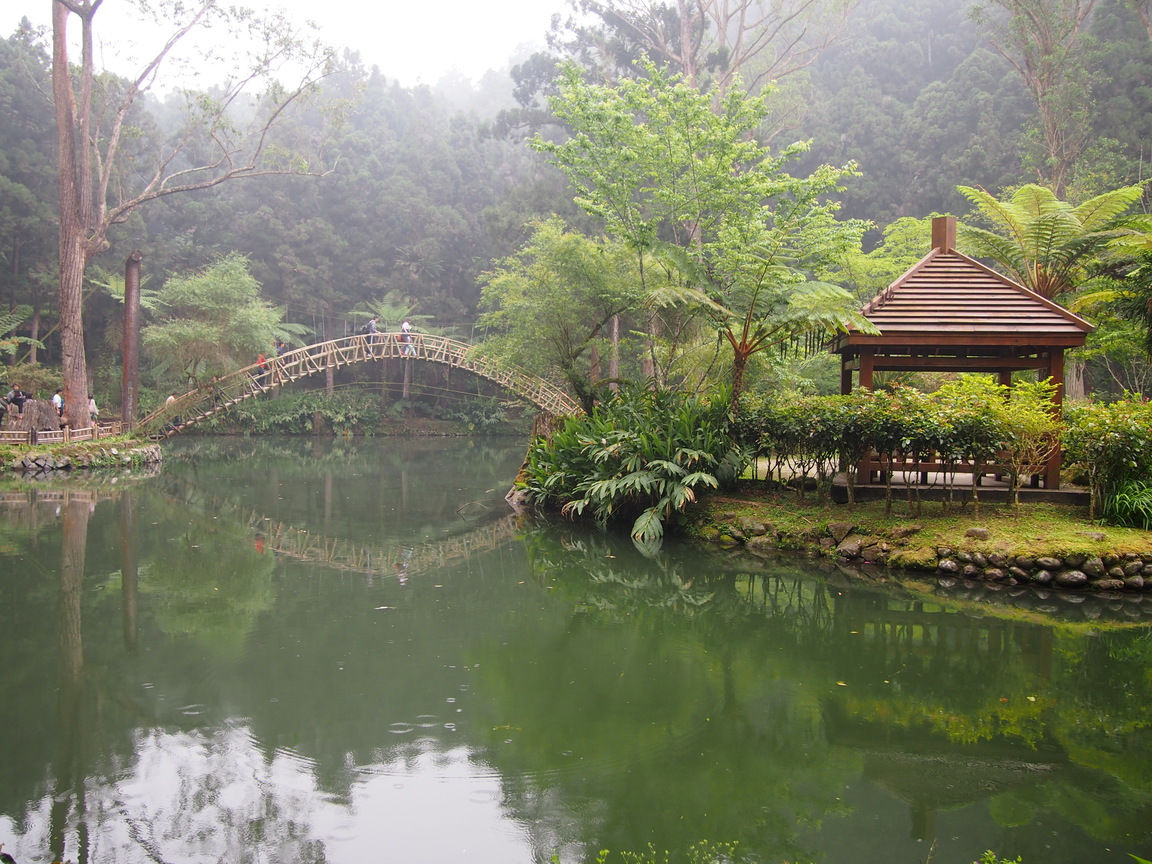 大學池之美