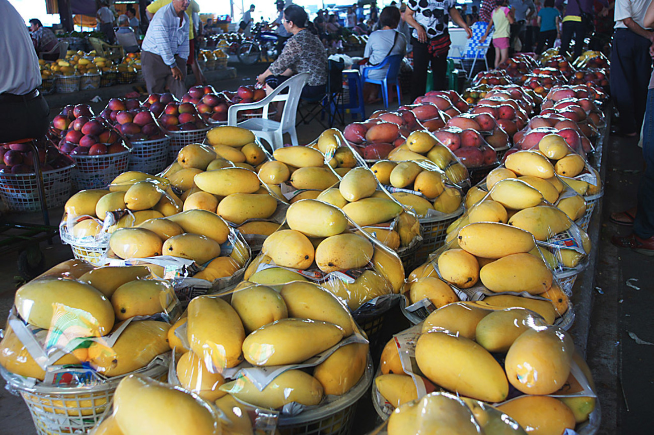 臺南市玉井區－果菜市場