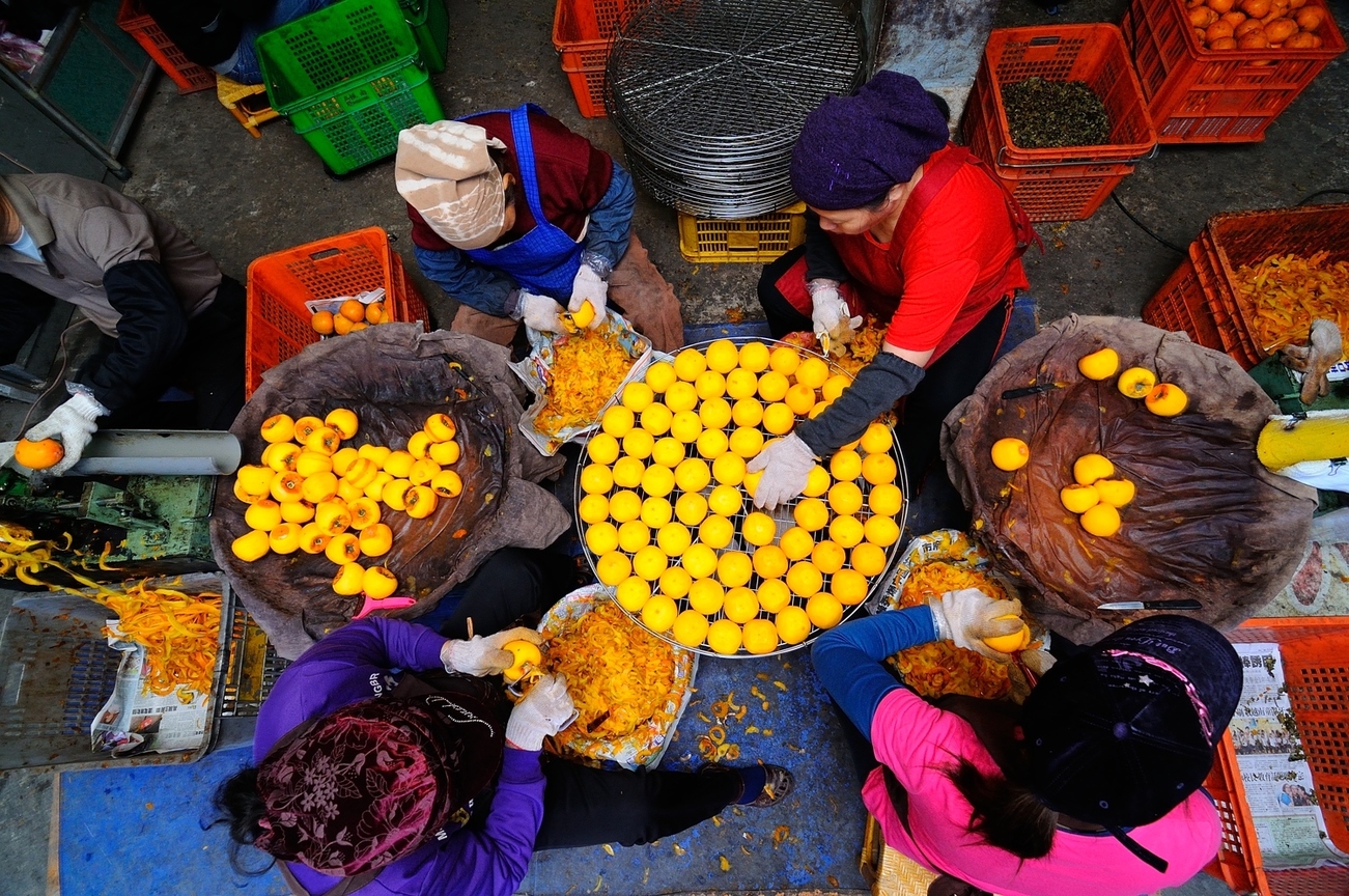 新竹縣新埔鎮-新埔甜柿7