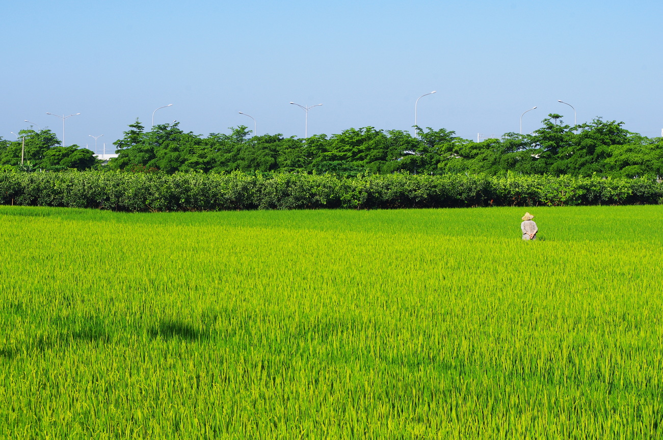 雲林縣虎尾鎮－虎尾鎮The farmer