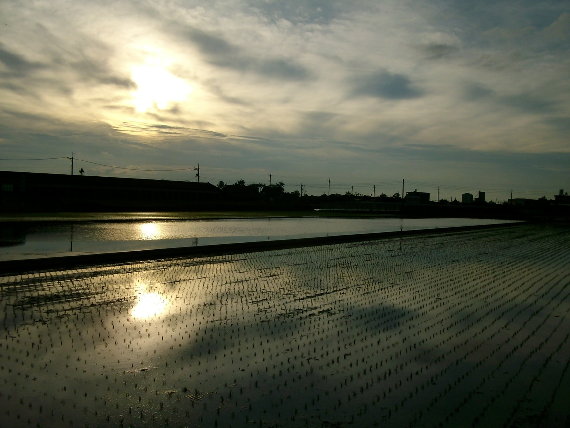 雲林縣二崙鄉-映