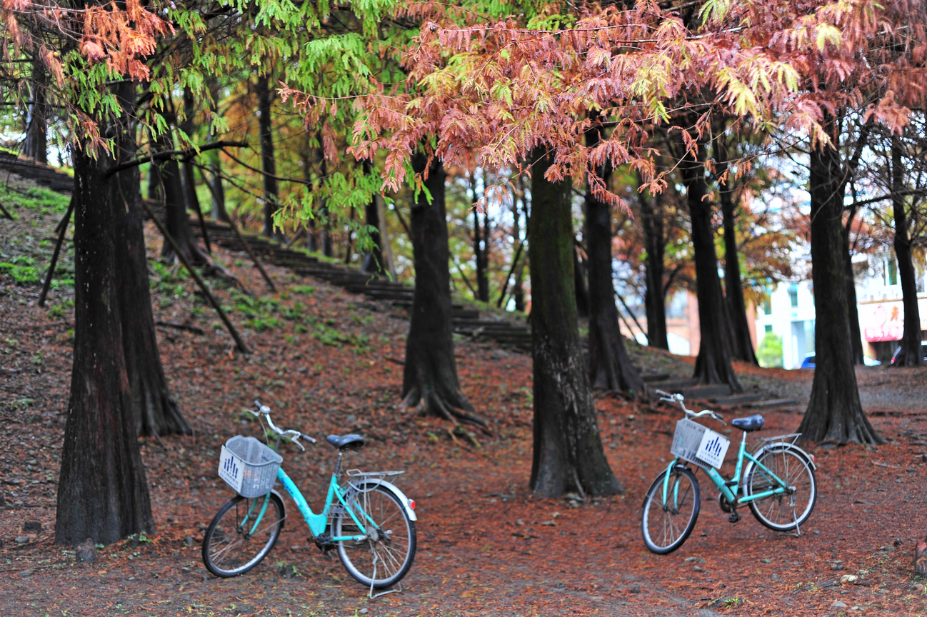 宜蘭縣羅東鎮-羅東運動公園一隅