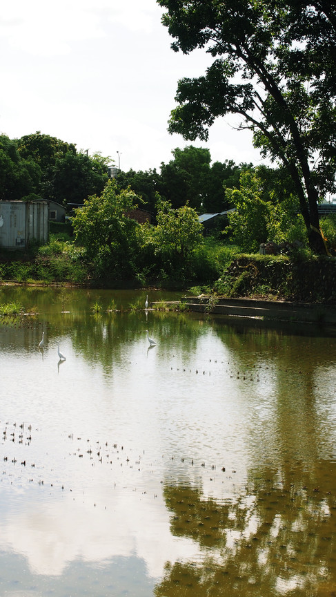 高雄市鳥松區－澄清湖棒球場旁