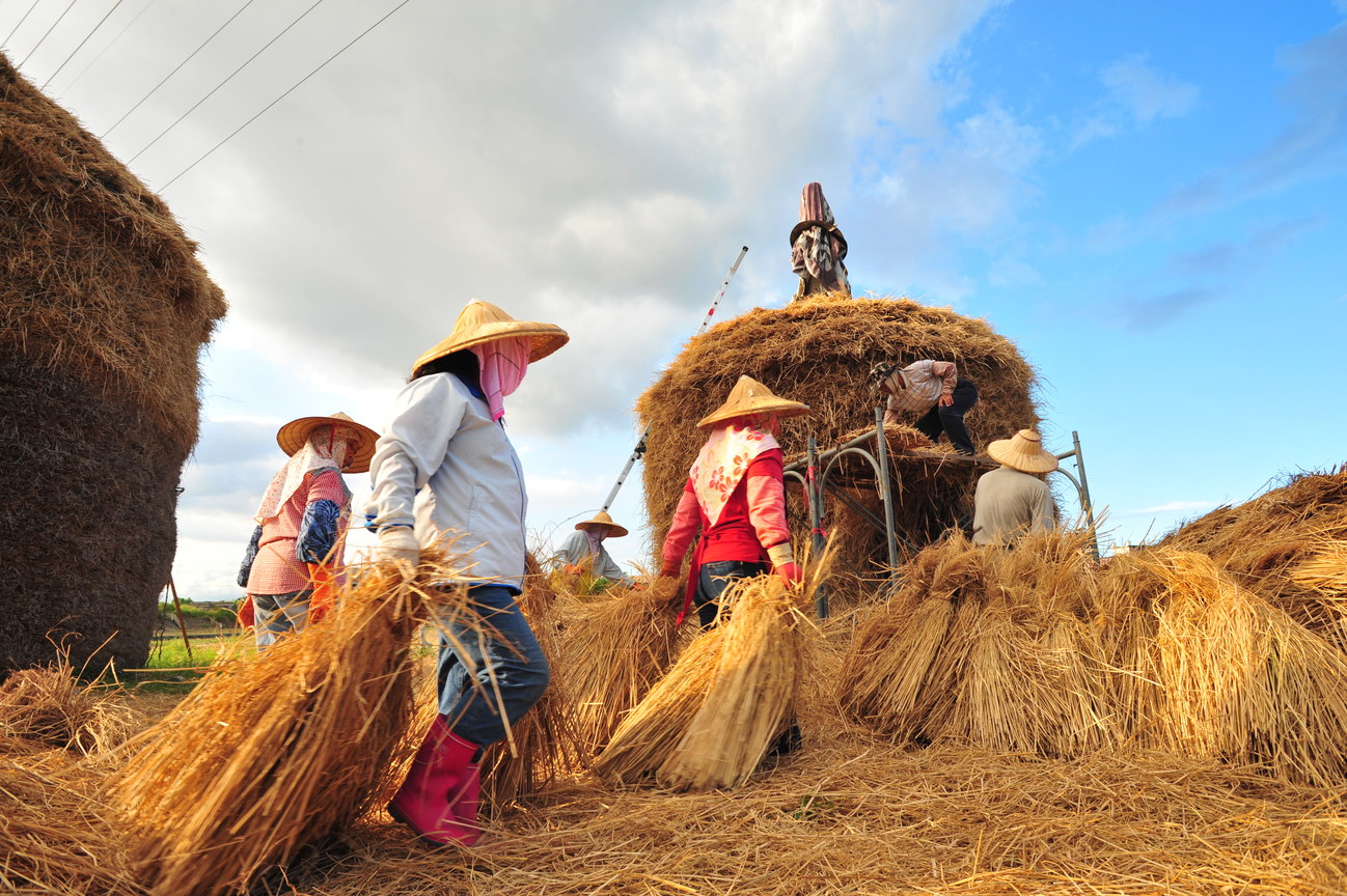 宜蘭縣冬山鄉-堆草垺01