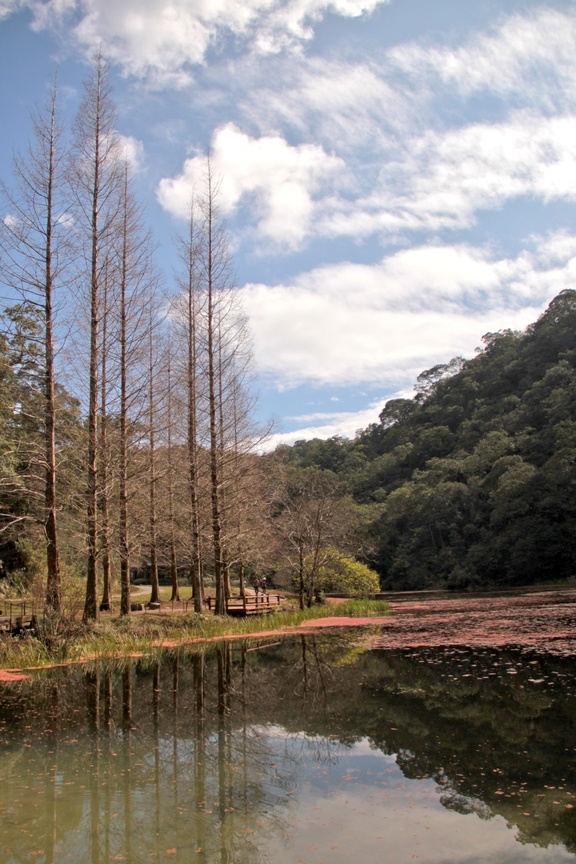 宜蘭縣員山鄉─世外桃源福山植物園