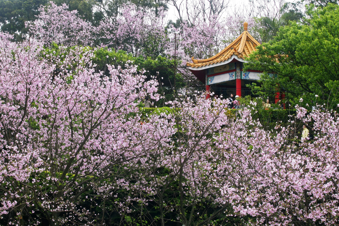 新北市三芝區-春滿人間