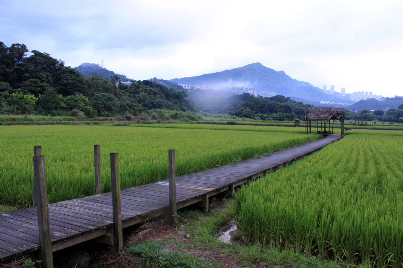 新北市新店區-安康農場