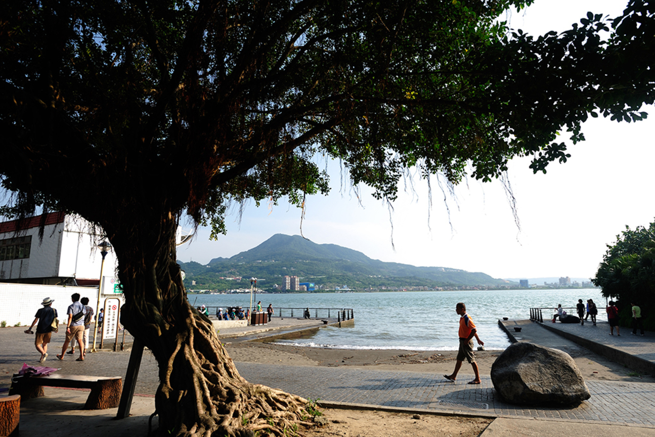 淡水榕樹下
