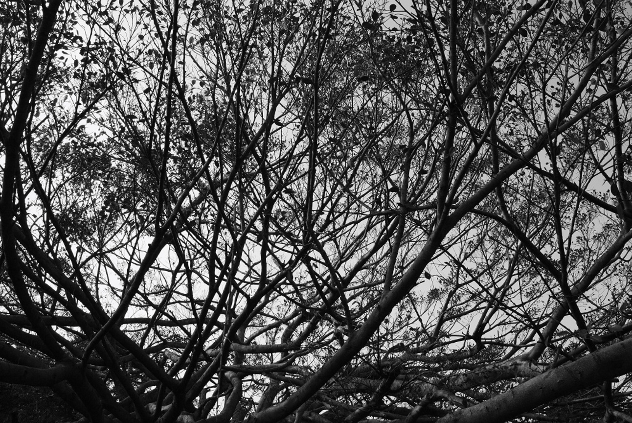 台中市后里區-錯綜複雜