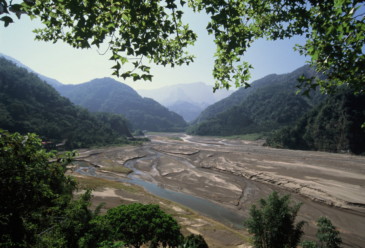 雲林縣古坑鄉-草嶺2008.4.5