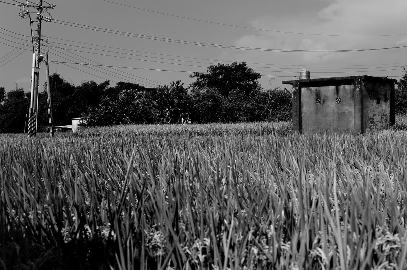 苗栗縣苑里鎮-苗栗米倉