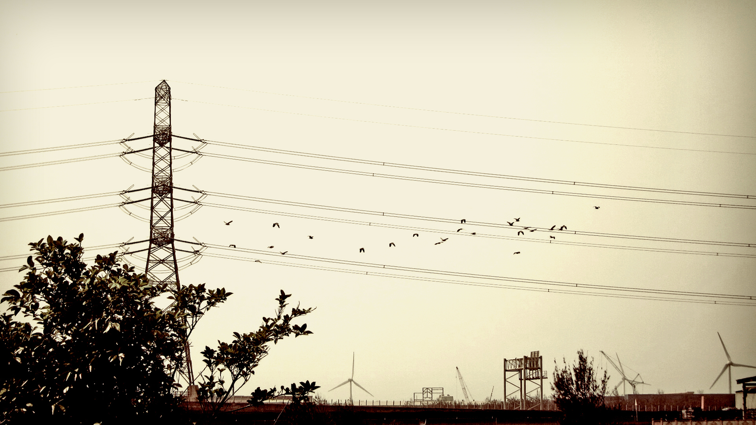 彰化縣線西鄉-西濱公路