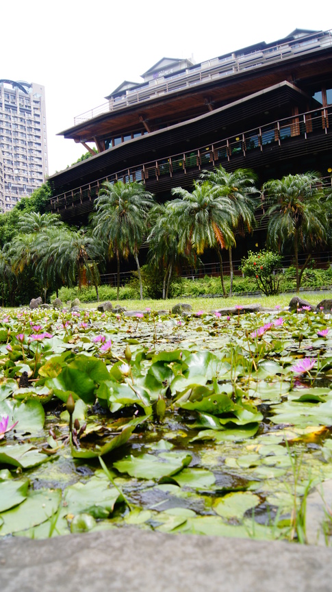 台北市北投區－北投圖書館