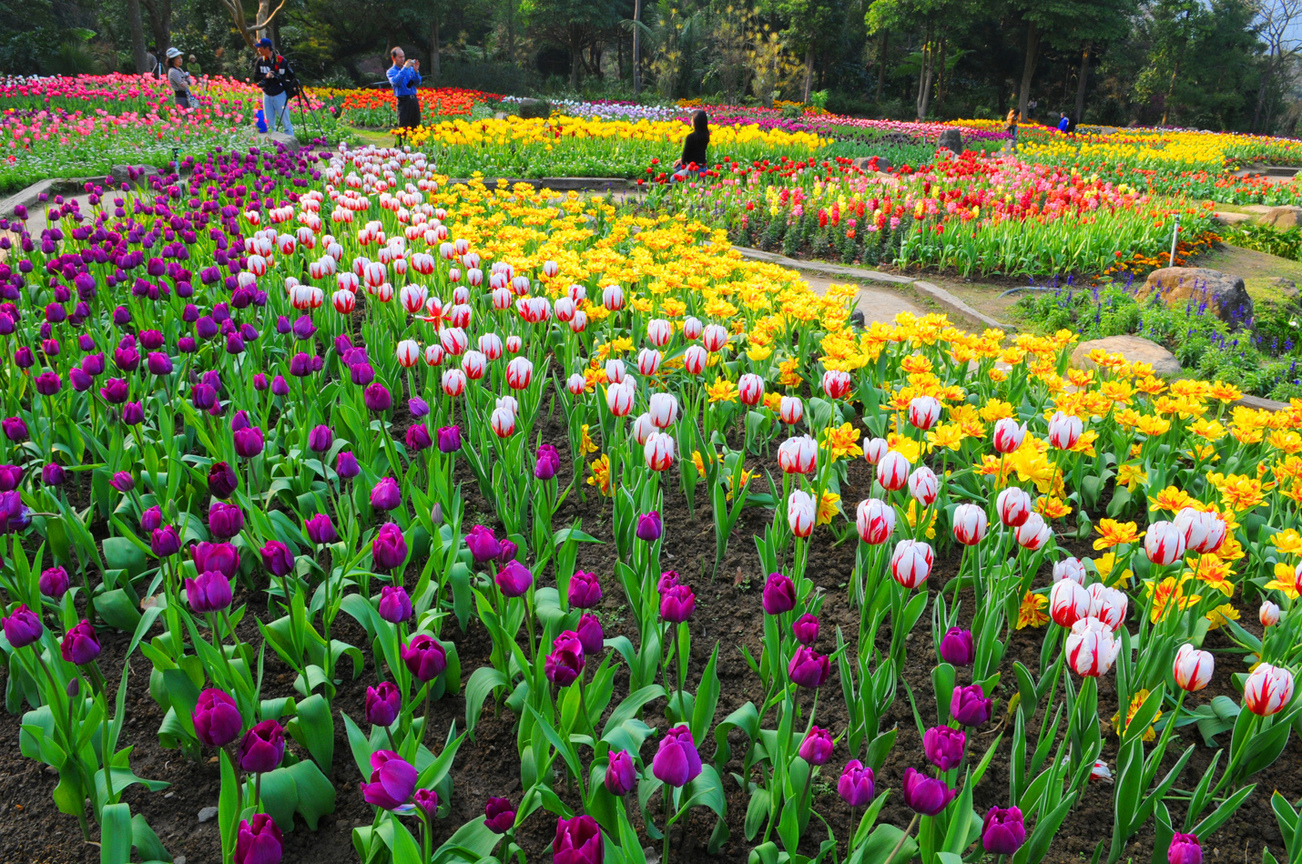 桃園縣復興鄉-桃源仙谷