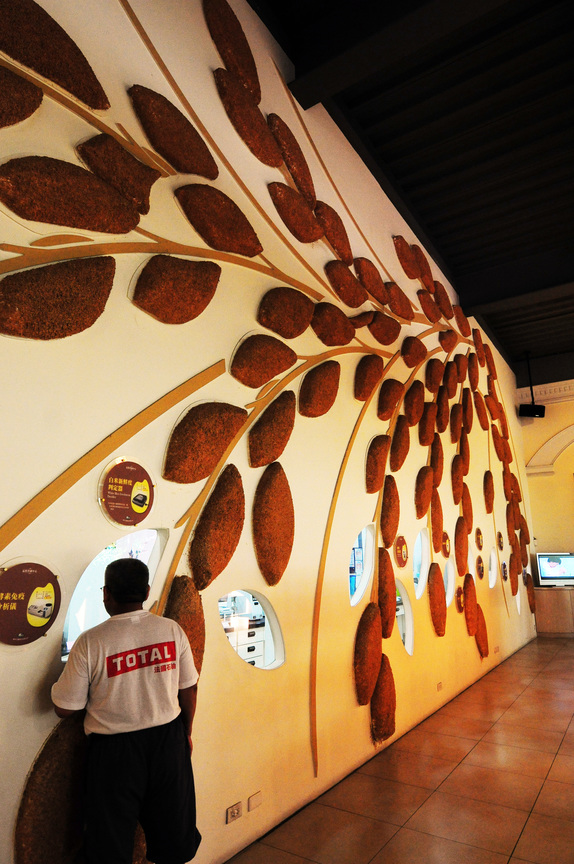 彰化縣埤頭鄉─米中米