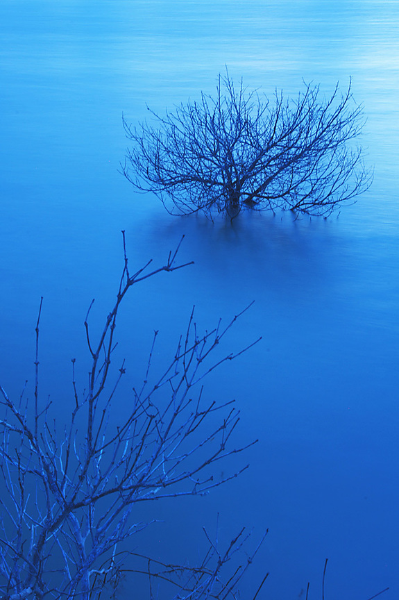 高雄市永安區-永安溼地
