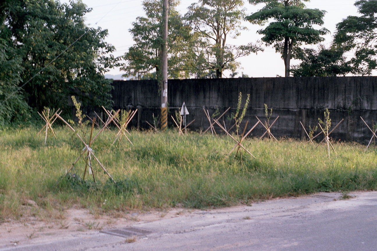 台中市東勢區-我的家