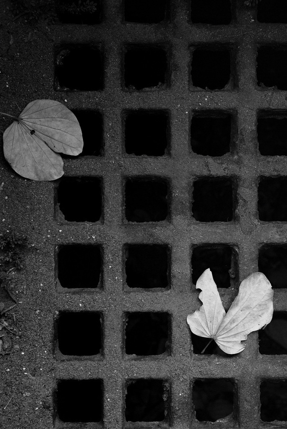 台中市北區-鐵蓋上的秋意