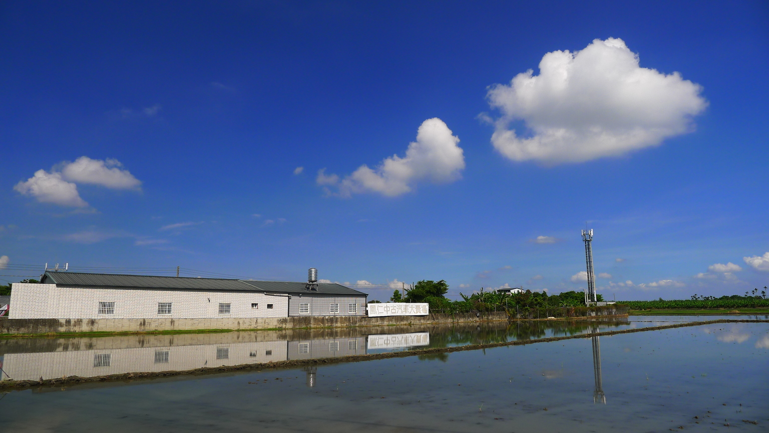 雲林縣林內鄉-陽光下的土地