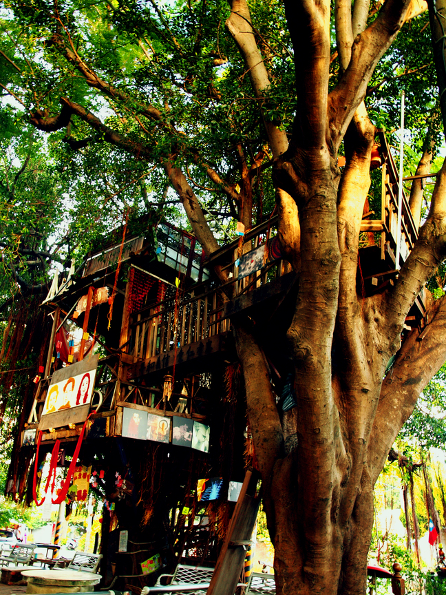 台南市仁德區-圓夢樹屋