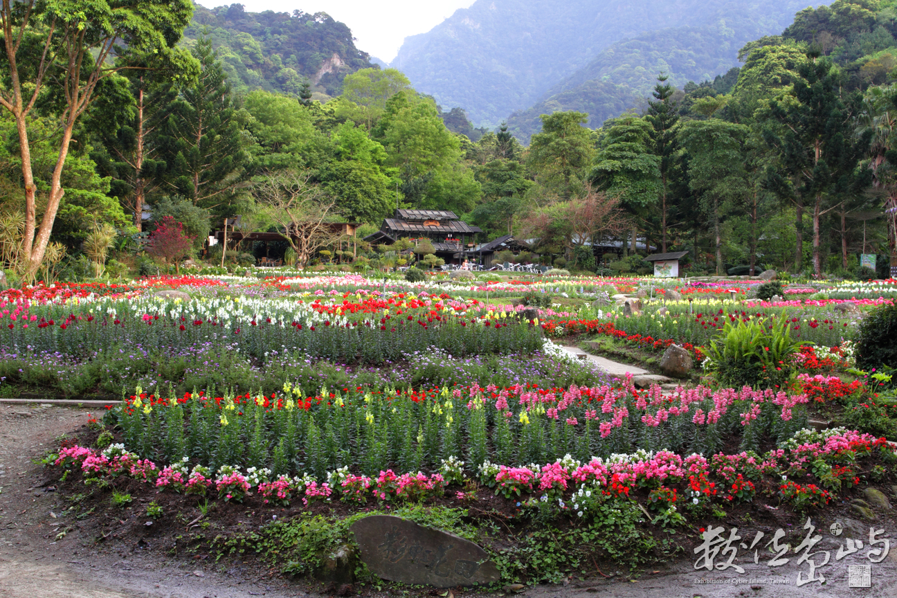 桃園縣復興鄉－彩虹花田