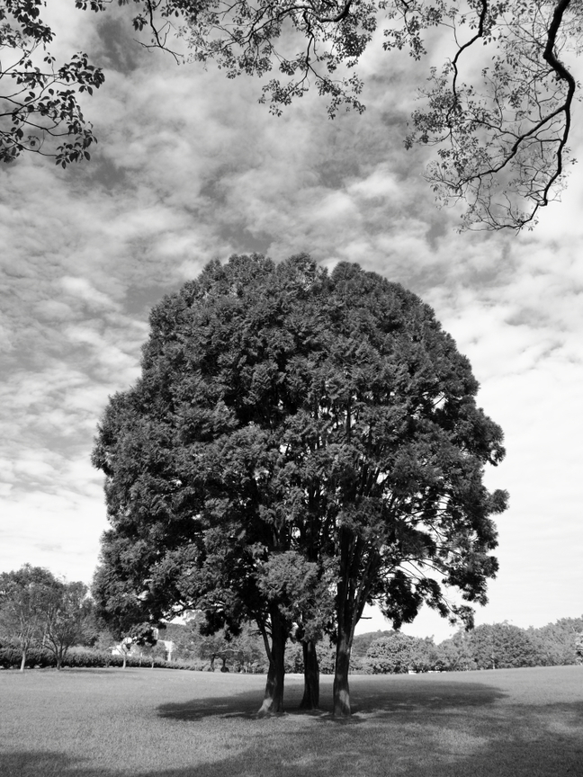  南投縣魚池鄉-三育基督書院