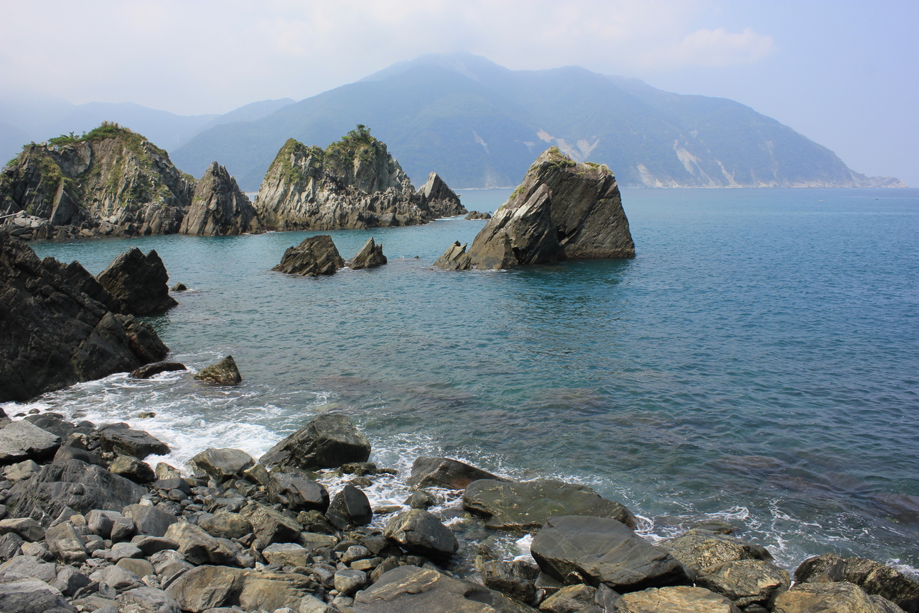 宜蘭縣南澳鄉─粉鳥林