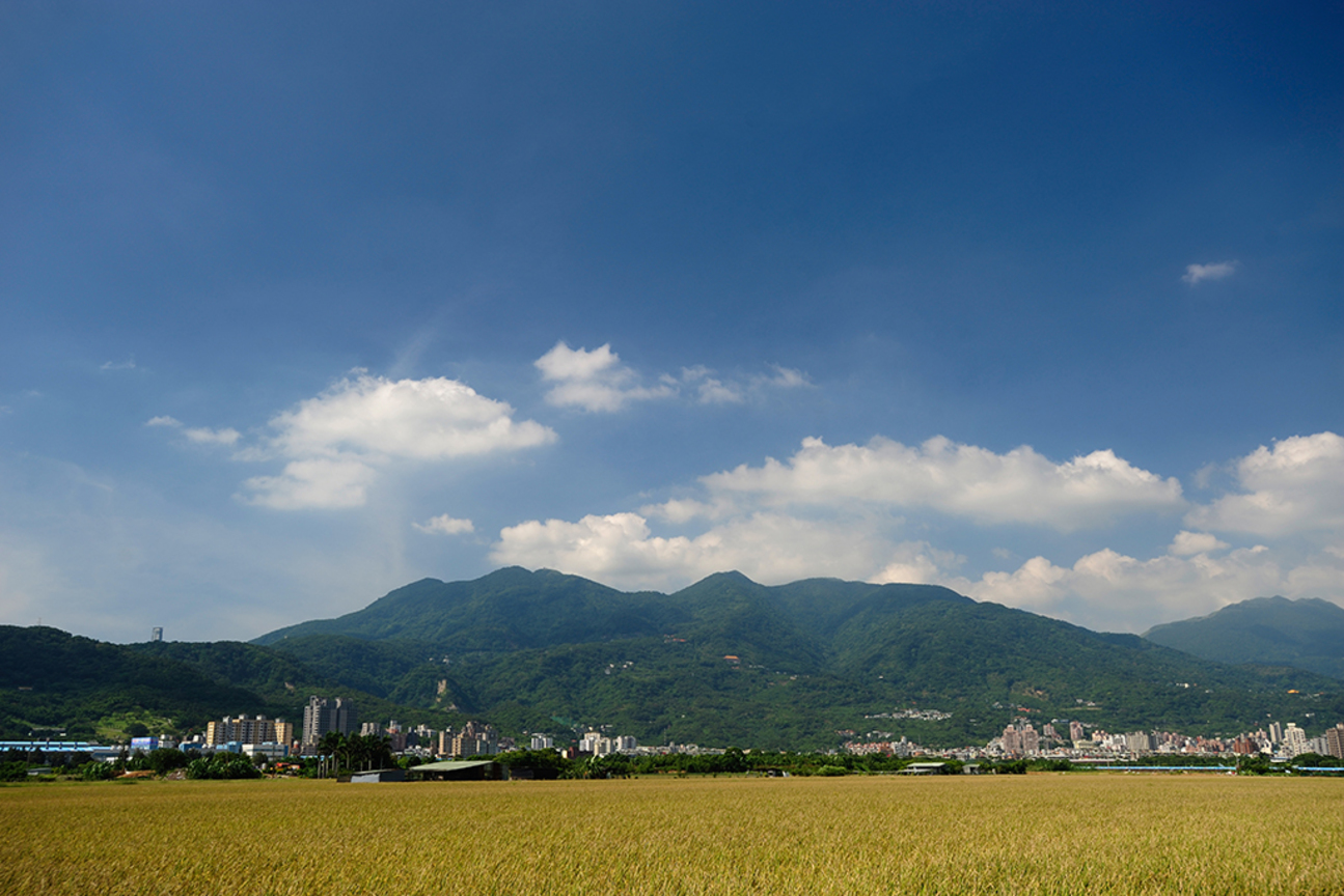 城市裡的田園風光