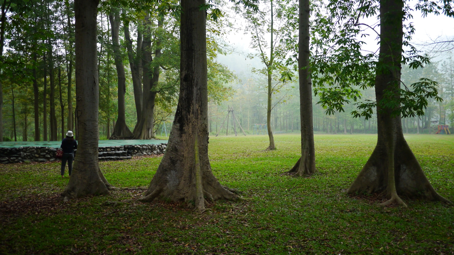 屏東縣泰武鄉－吉貝木棉