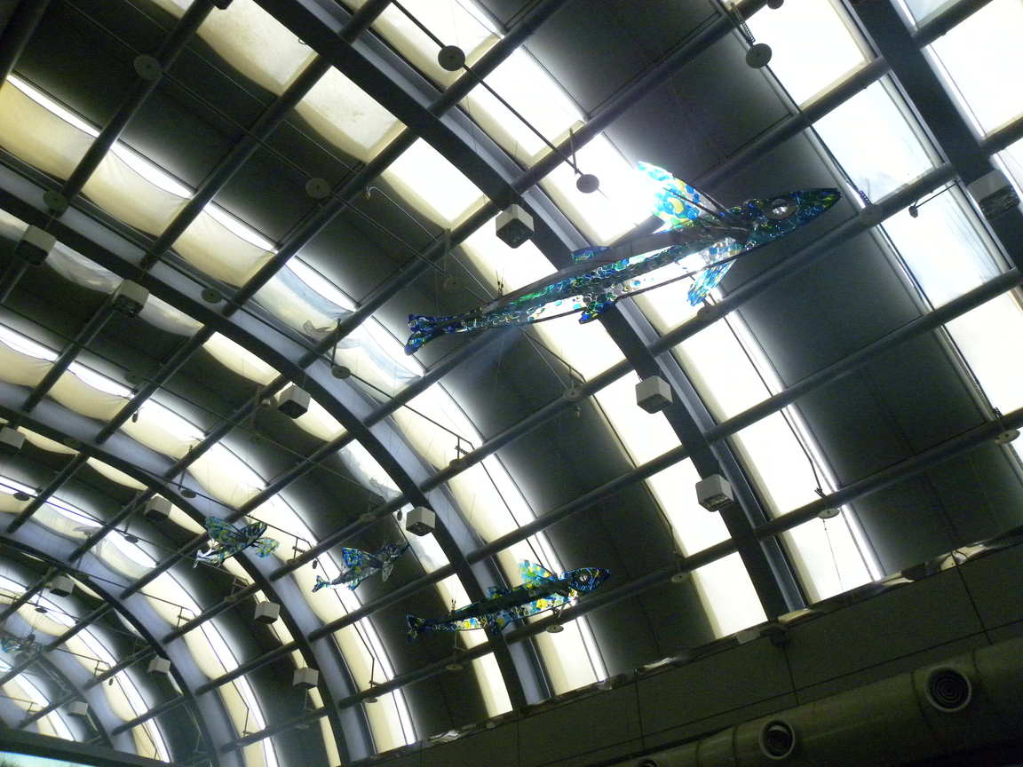 澎湖縣湖西鄉-馬公機場