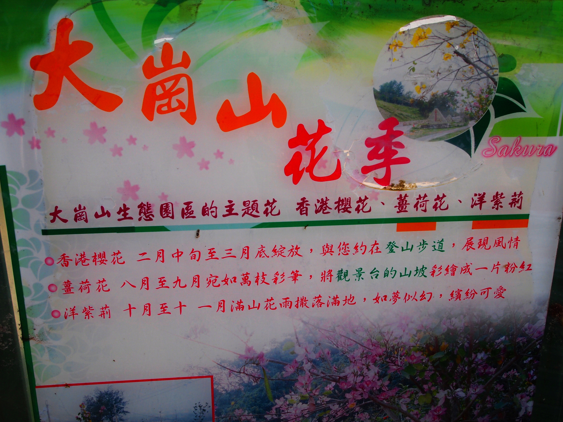 大崗山賞花樂