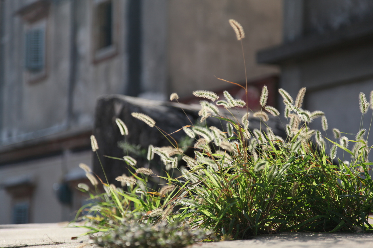 Where have all the young people gone?