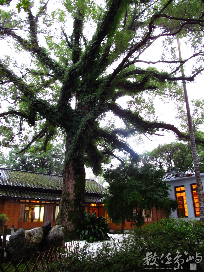 歲月會告知我們答案