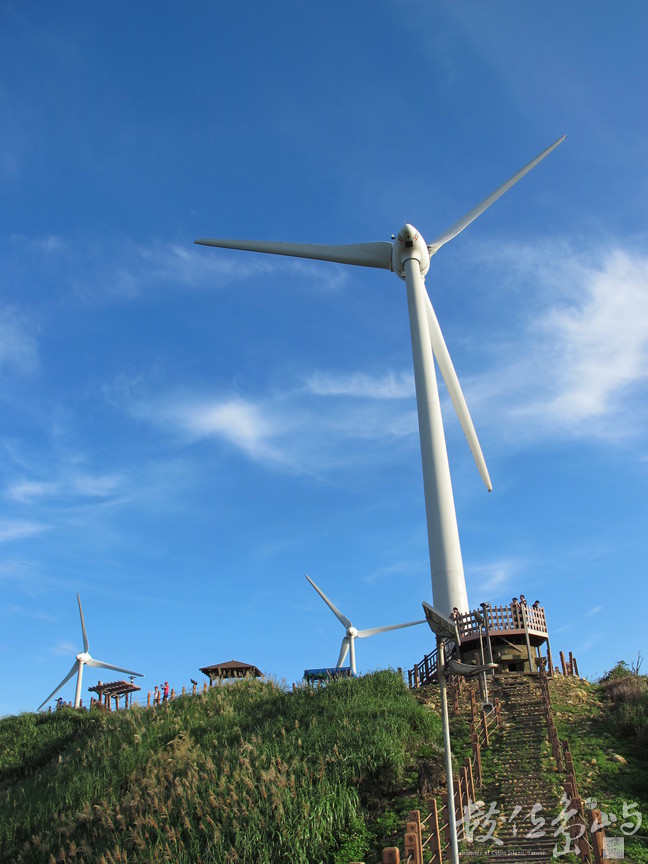 高聳的風力發電機