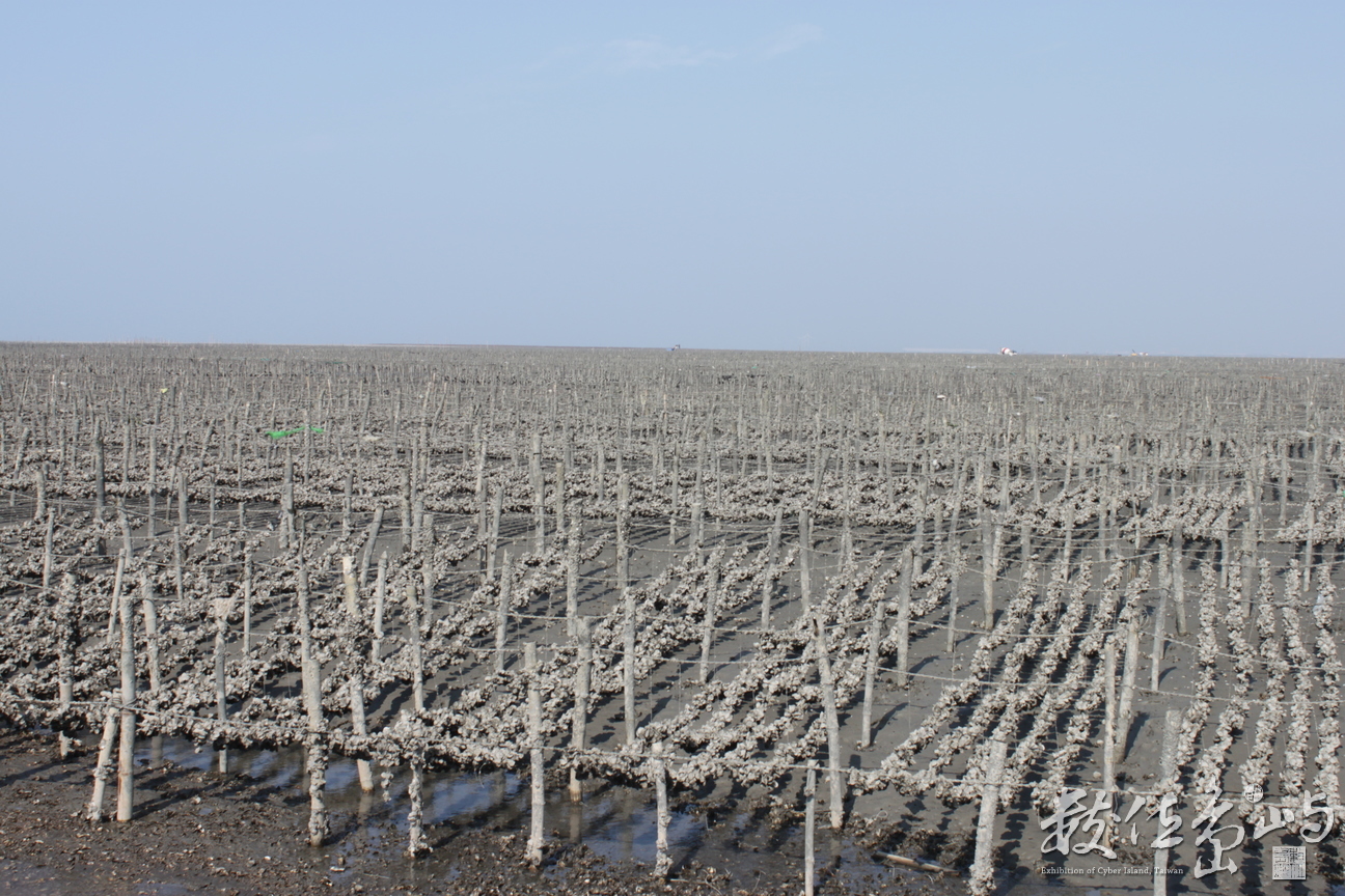 河川與海洋相親相愛的交會處