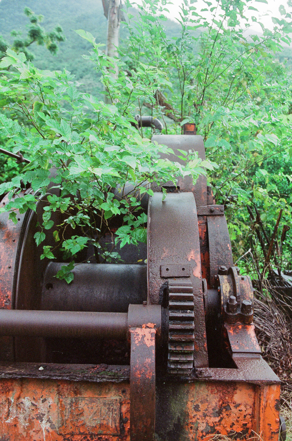 植物與伐木機器-4