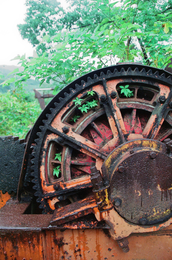 植物與伐木機器-5