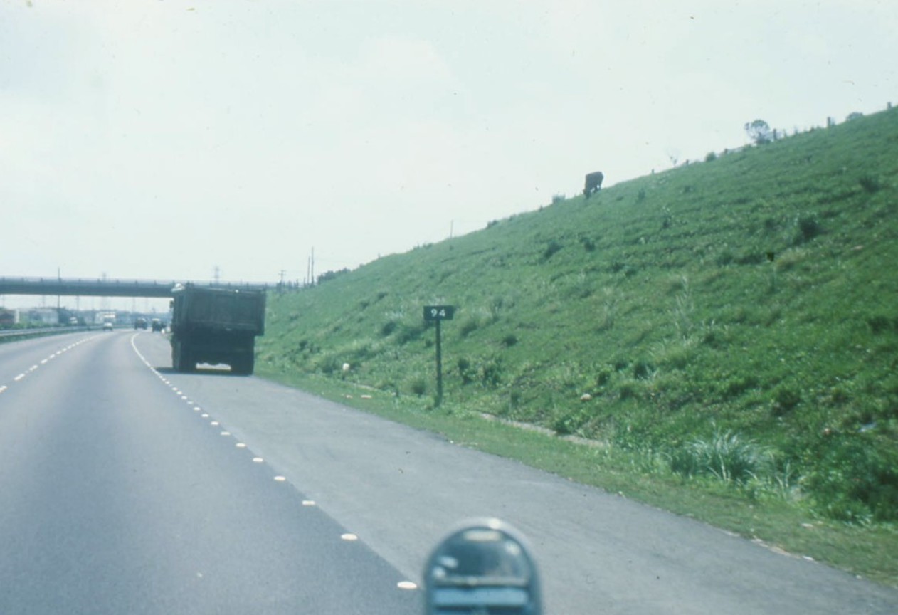 生態綠化植被演替狀況(植草)