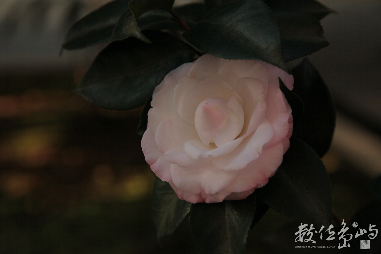 2012年1215台北_20