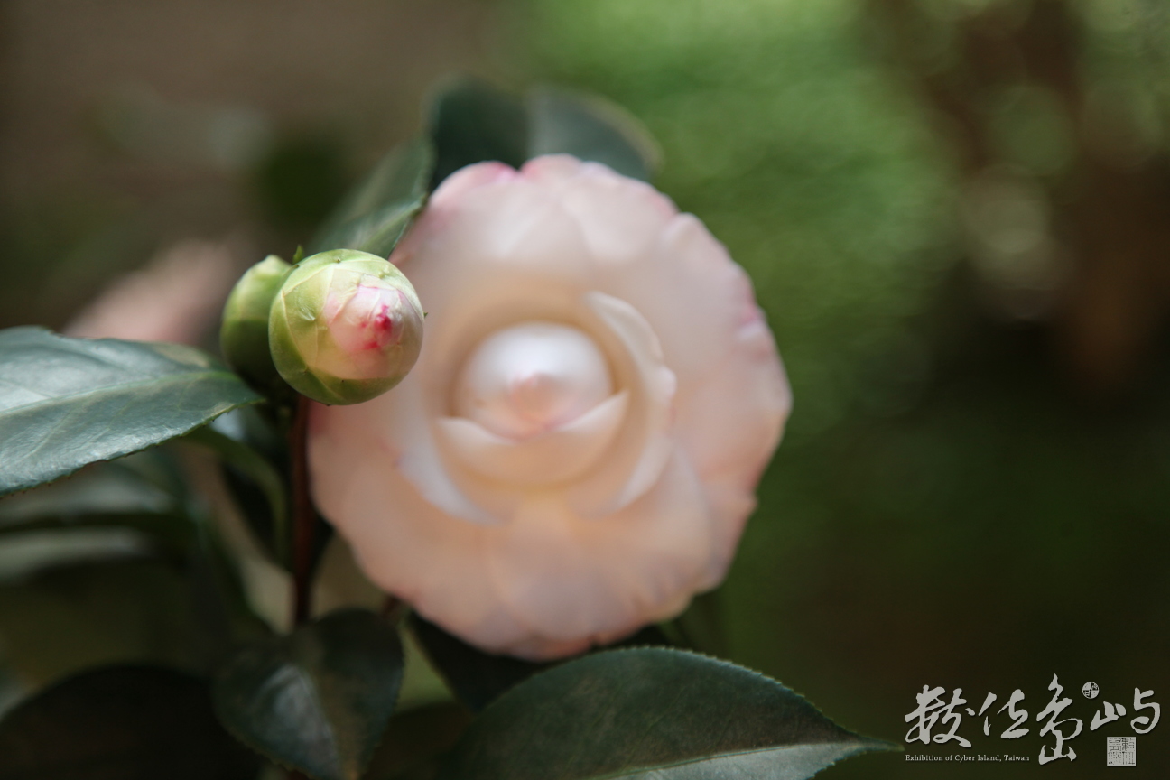 2012年1215台北_25