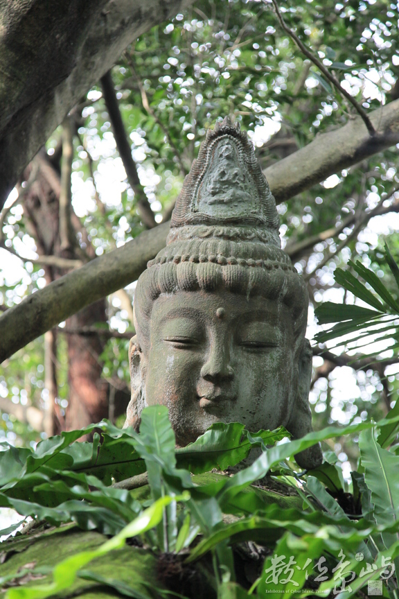 2012年1215台北_09