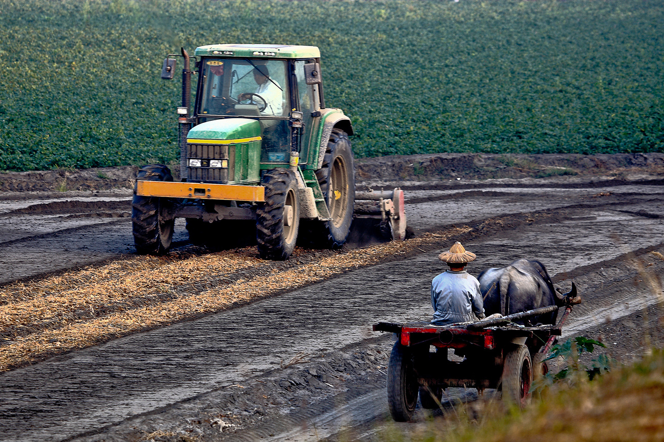 佳作 黃榮群─傳承