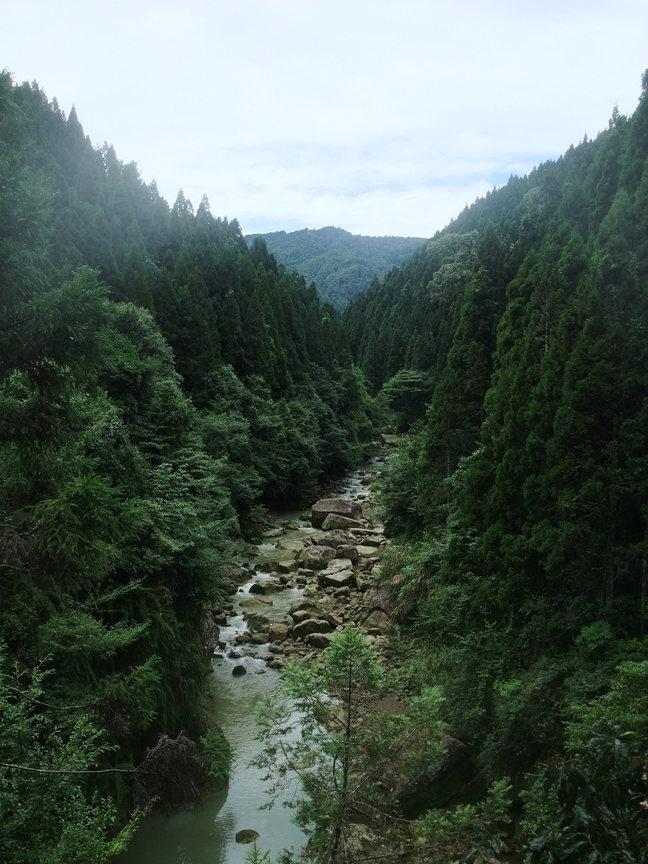 遠眺杉林溪的翠綠